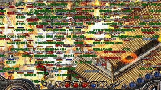 不出我所料